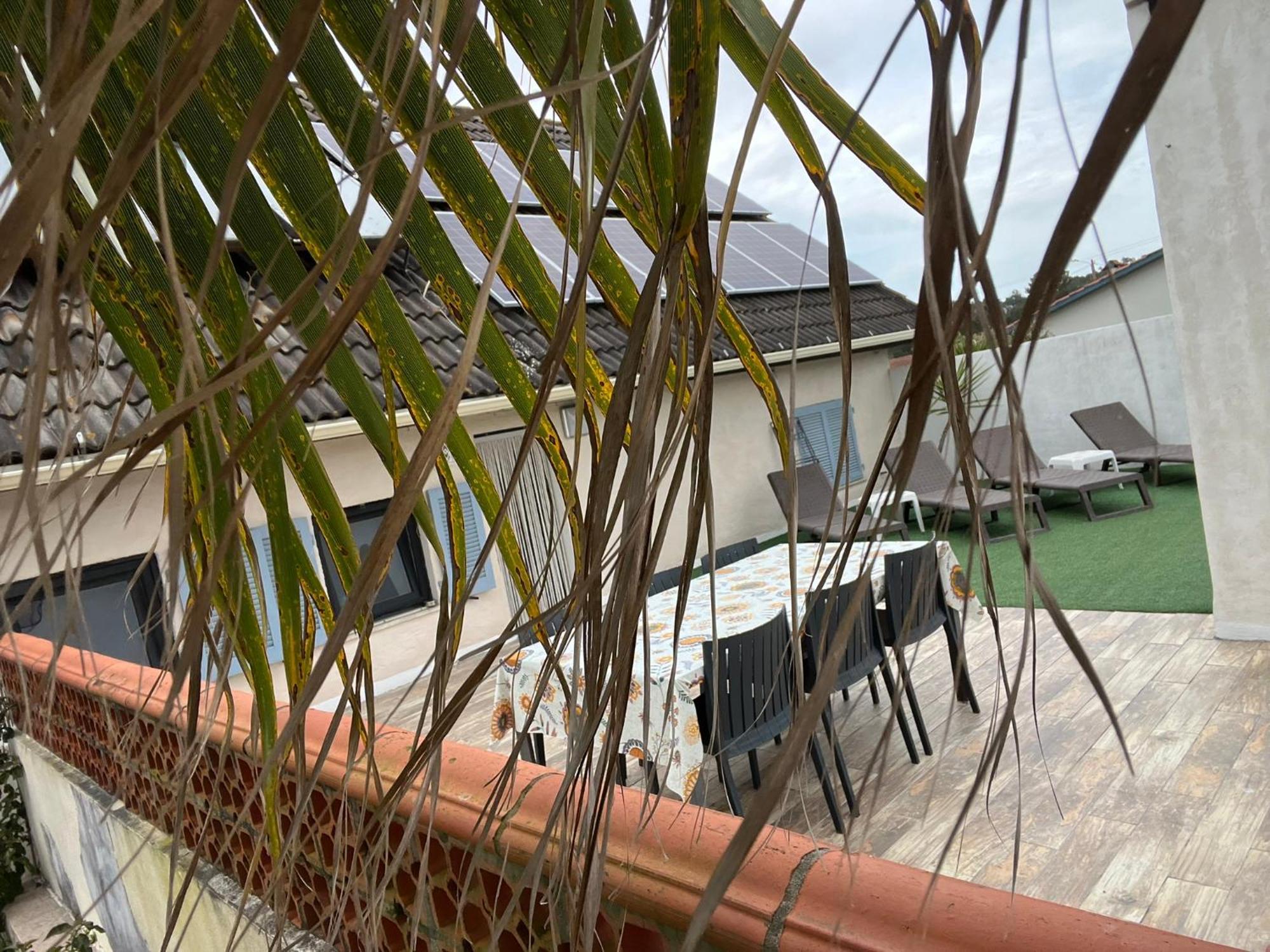 Casa Das Flores Leiria Silvercoast Portugal Monte Redondo ภายนอก รูปภาพ